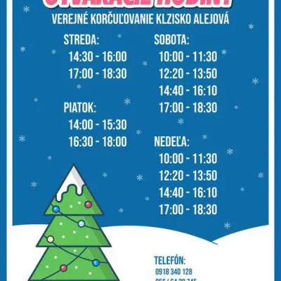 Verejné korčuľovanie